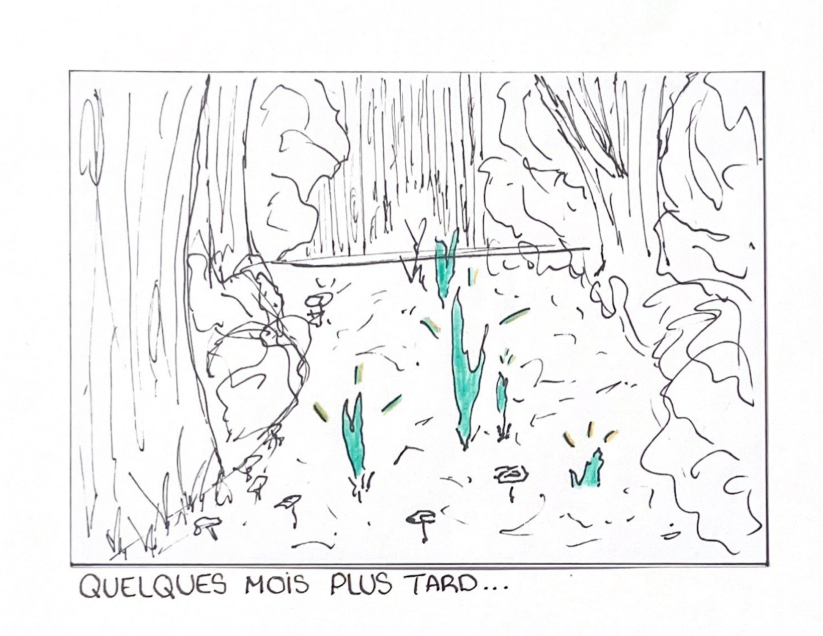 Illustration mise en situation 8